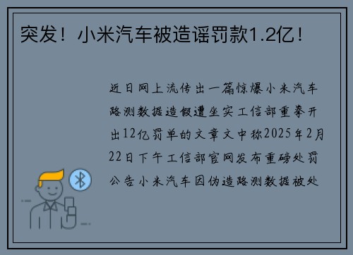 突发！小米汽车被造谣罚款1.2亿！
