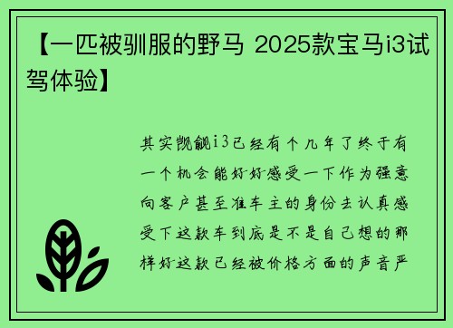 【一匹被驯服的野马 2025款宝马i3试驾体验】