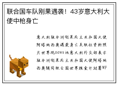 联合国车队刚果遇袭！43岁意大利大使中枪身亡